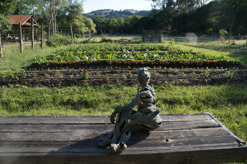 Westerbeke_ranch_Sonoma_meeting_retreats_weddings_napa_events_conference_0003