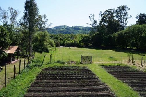 Westerbeke_ranch_Sonoma_meeting_retreats_weddings_napa_events_conference_0008