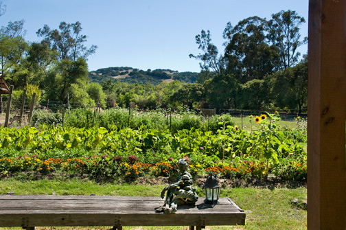 Westerbeke_ranch_Sonoma_meeting_retreats_weddings_napa_events_conference_0106