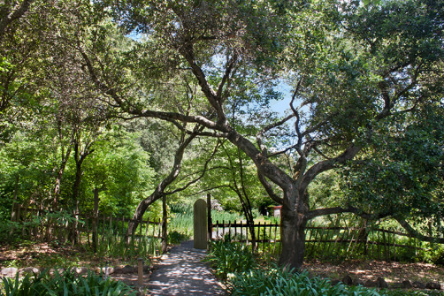 Westerbeke_ranch_Sonoma_meeting_retreats_weddings_napa_events_conference_0212