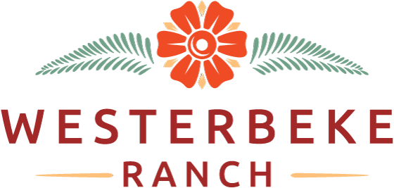 Westerbeke Ranch | Sonoma Valley Retreats, Events, Weddings, Meetings